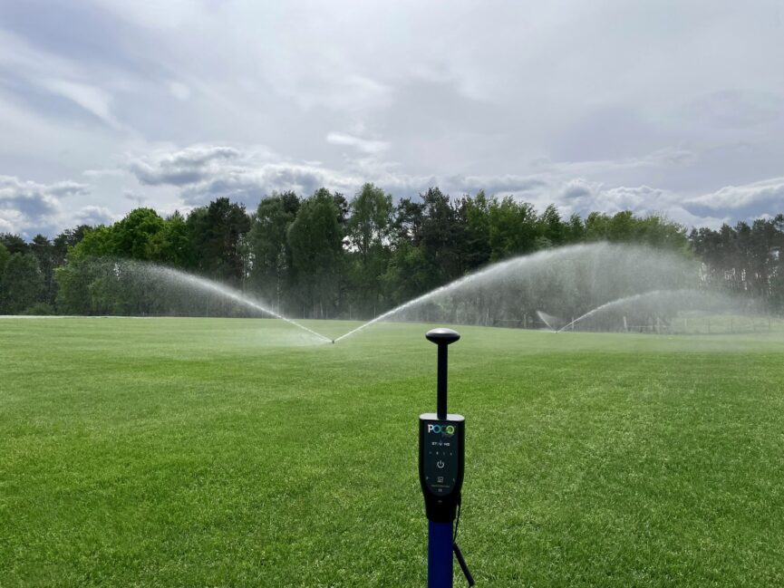 Jaki nawóz do trawy?