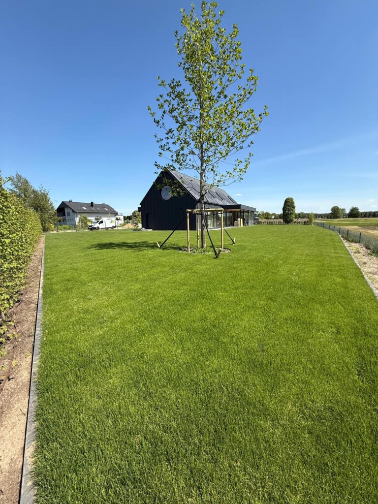 Zakładanie ogrodów